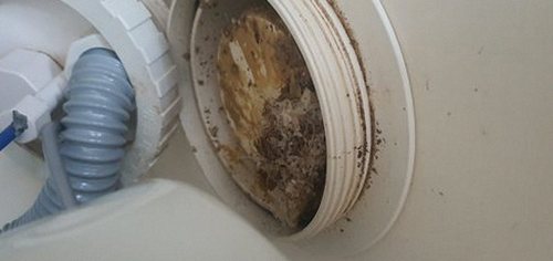 옥천군 하수구막힘 배관 점검 카메라를 이용해 막힘 지점을 확인하는 작업 장면